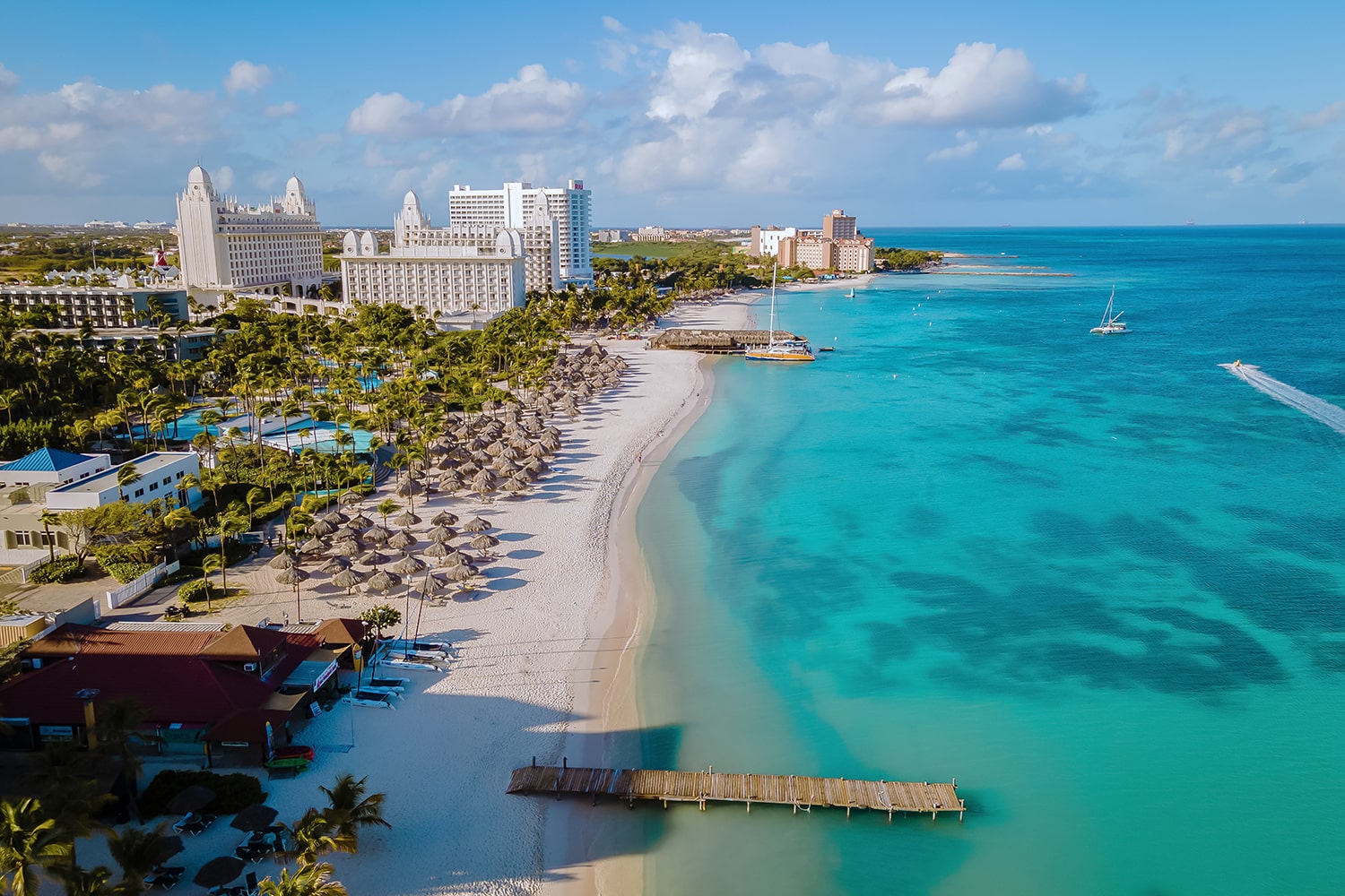 palm-beach-aruba-caribe-playa-arena-blanca-larga-palmeras-aruba-drone-view-min