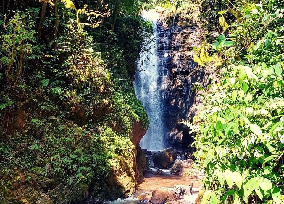OXAPAMPA-