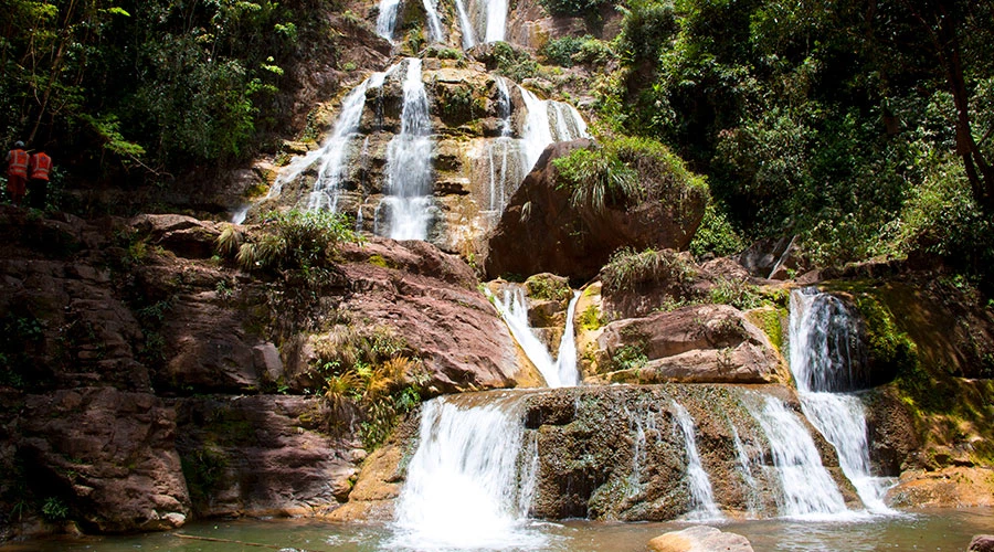 oxa catarata bayoz