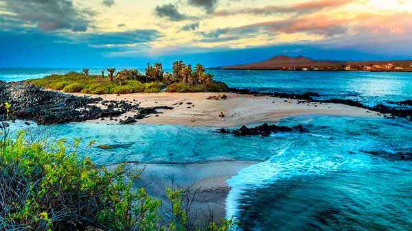 Galápagos