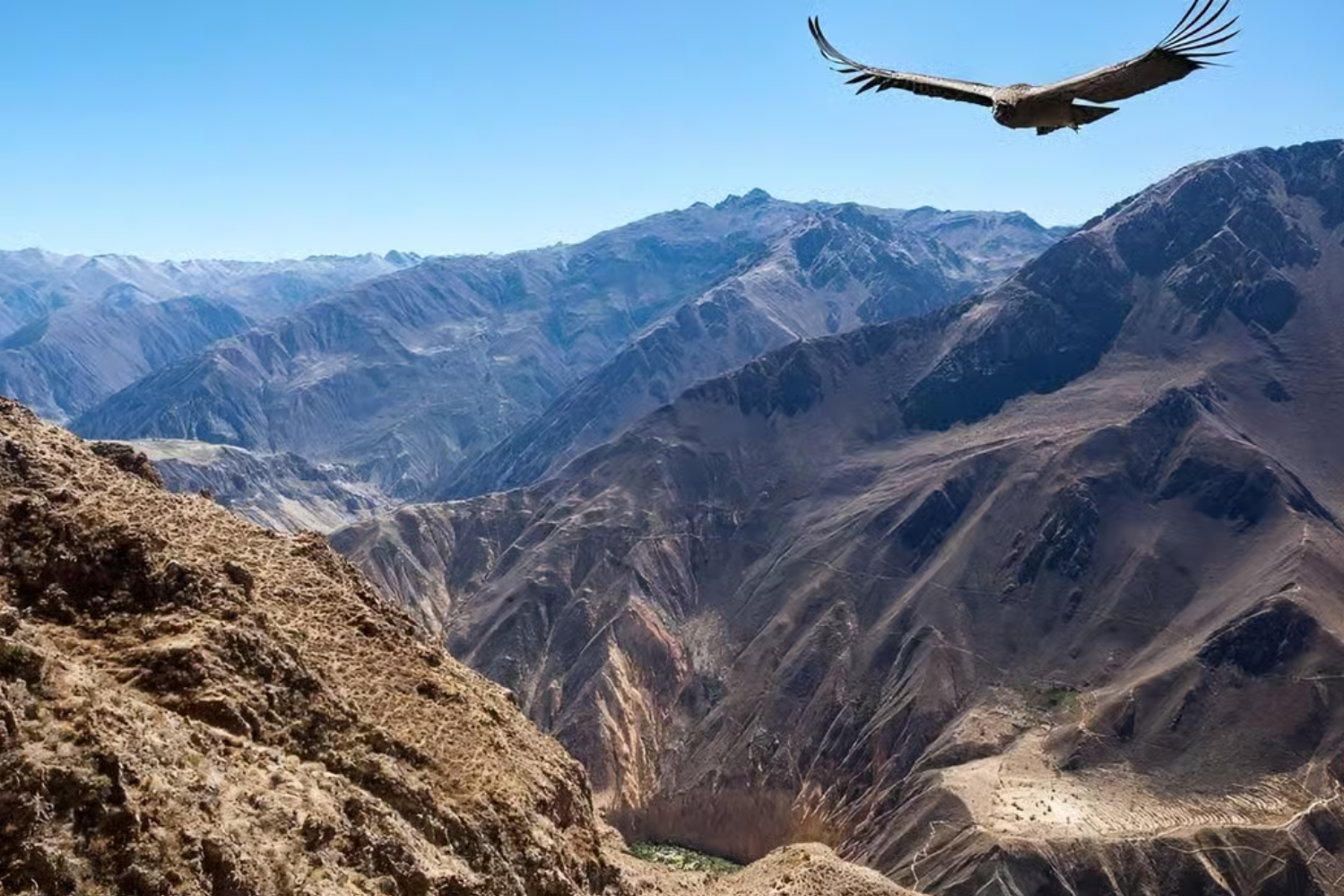 CAÑON DEL COLCA - AREQUIPA