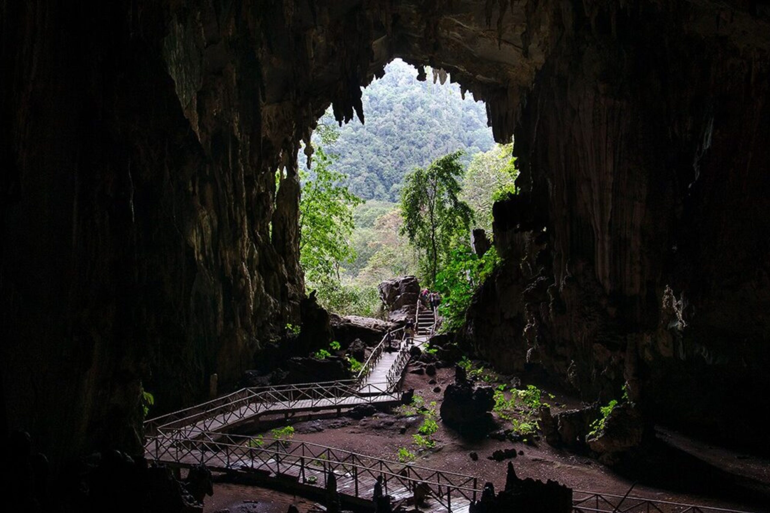 CUEVA DE LAS LECHUZAS TINGO MARIA