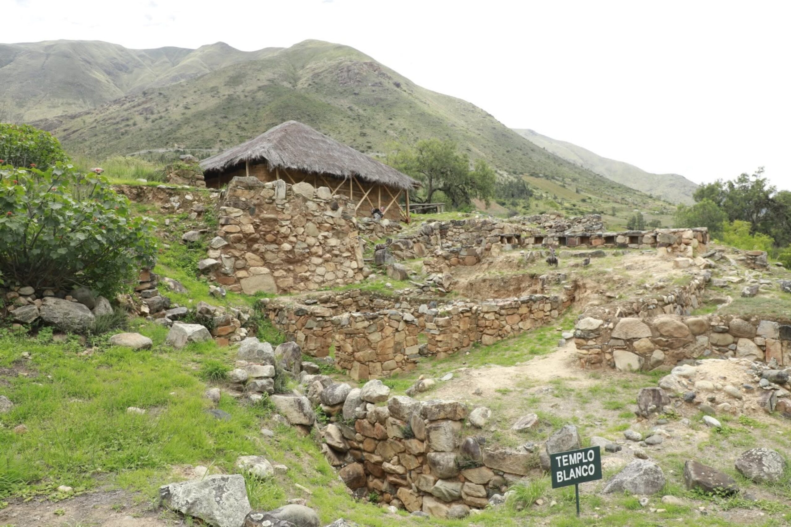 Kotosh - Huanuco