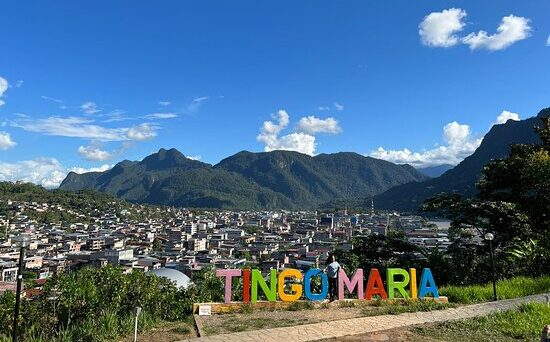 TINGO MARIA