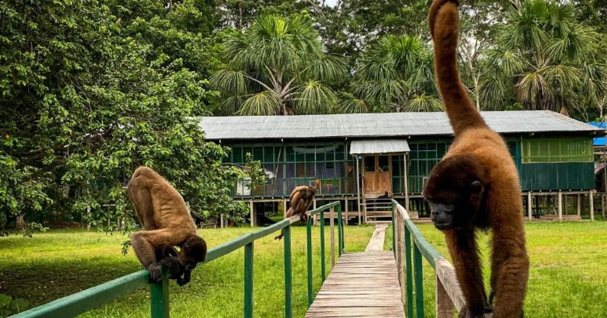ISL-DE-LOS-MONOS
