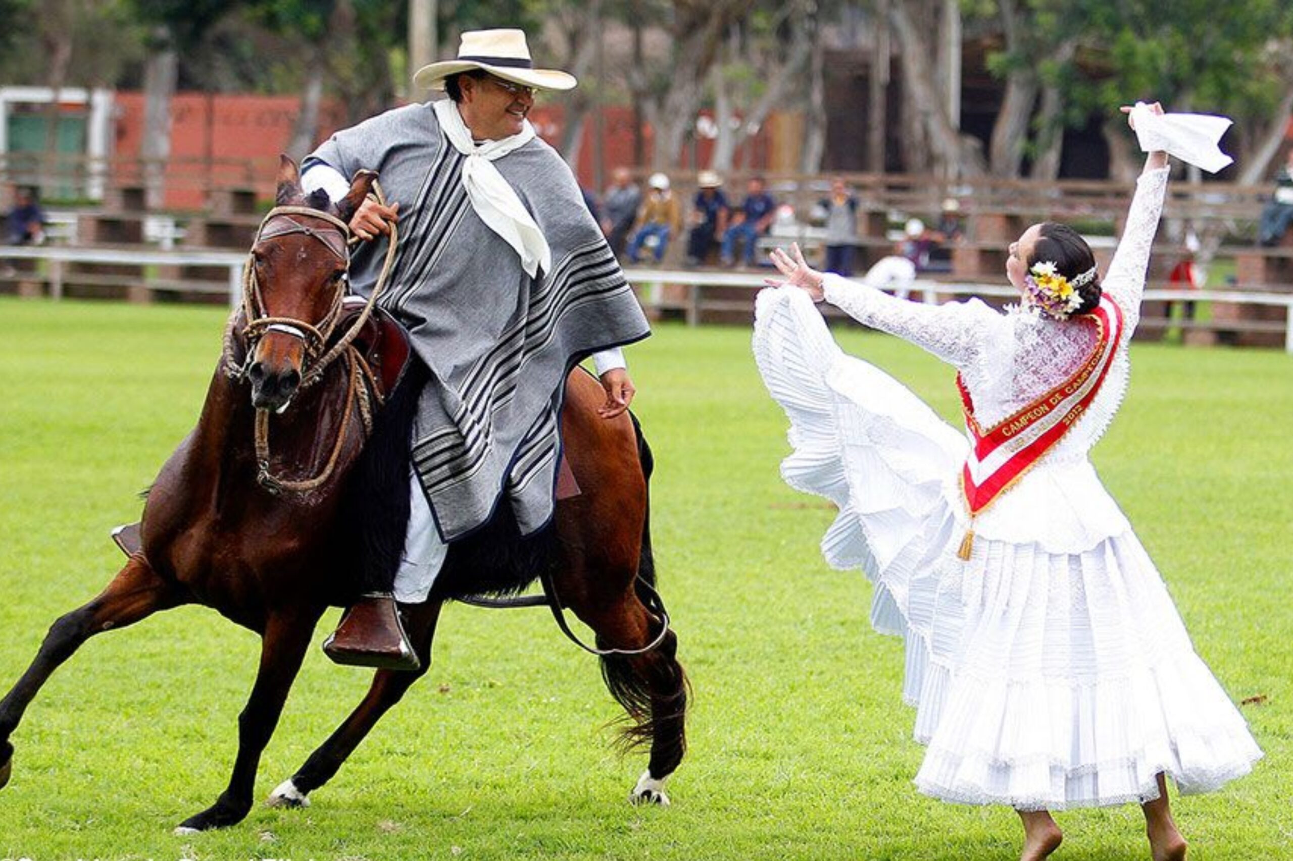 CABALLO DE PASO - PACHACAMAC